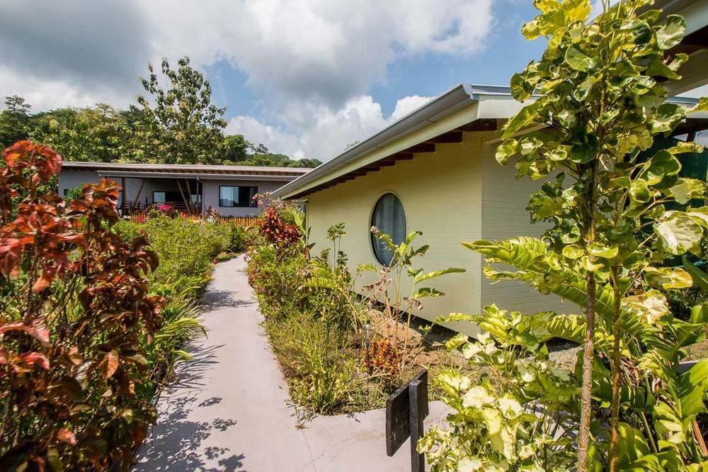 Eden Tica Lodge Uvita Exteriör bild