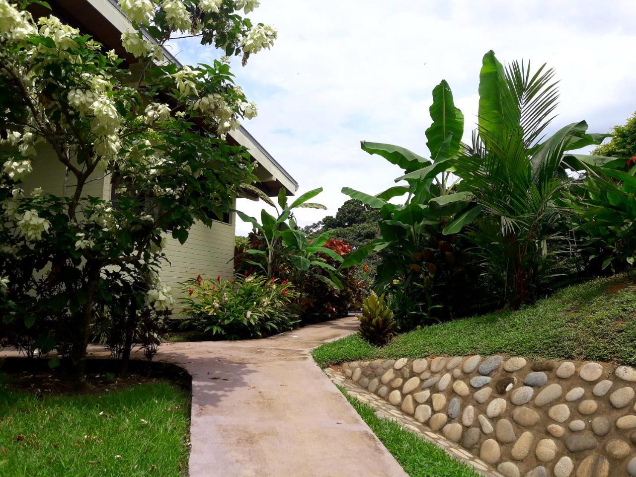 Eden Tica Lodge Uvita Exteriör bild