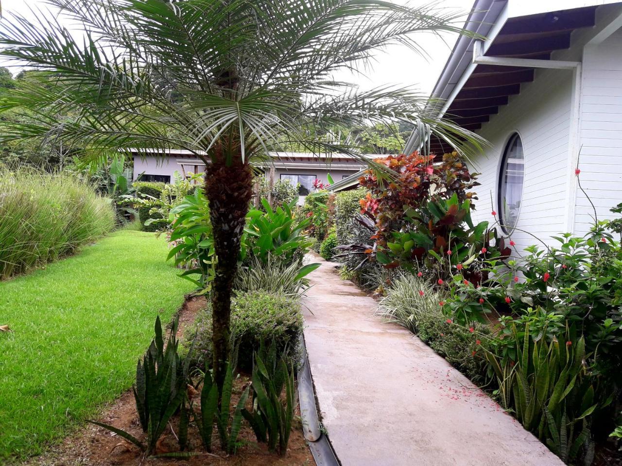 Eden Tica Lodge Uvita Exteriör bild