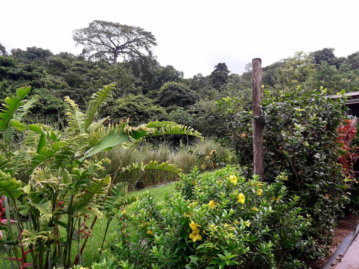 Eden Tica Lodge Uvita Exteriör bild